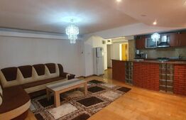 Apartament cu doua camere, CT, Pet friendly, zona George Enescu