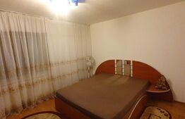 Apartament cu doua camere, CT, Pet friendly, zona George Enescu