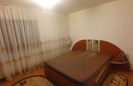 Apartament cu doua camere, CT, Pet friendly, zona George Enescu