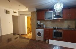 Apartament cu doua camere, CT, Pet friendly, zona George Enescu
