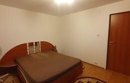 Apartament cu doua camere, CT, Pet friendly, zona George Enescu