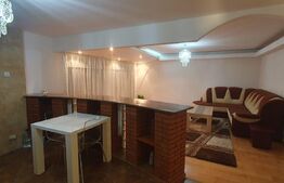 Apartament cu doua camere, CT, Pet friendly, zona George Enescu