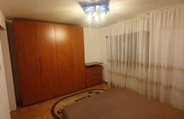 Apartament cu doua camere, CT, Pet friendly, zona George Enescu