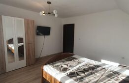 Casa spatioasa la pret de apartament, 120 mp, curte, zona Consul