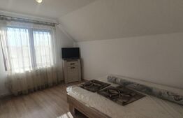 Casa spatioasa la pret de apartament, 120 mp, curte, zona Consul
