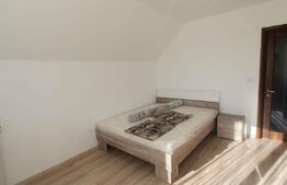 Casa spatioasa la pret de apartament, 120 mp, curte, zona Consul
