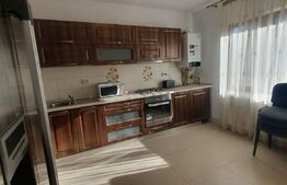 Casa spatioasa la pret de apartament, 120 mp, curte, zona Consul