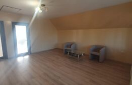Casa spatioasa la pret de apartament, 120 mp, curte, zona Consul