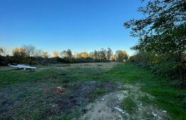 Teren 7900 mp, extravilan, zona Leamna de Jos