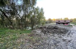 Teren 7900 mp, extravilan, zona Leamna de Jos