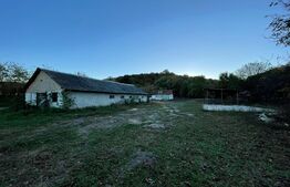 Teren 7900 mp, extravilan, zona Leamna de Jos