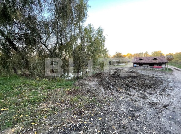 Teren de vânzare Leamna de Jos - 130337TV | BLITZ Craiova | Poza6