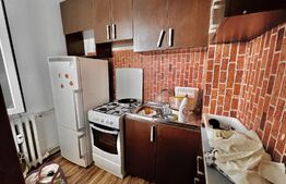 Garsonieră Mobilată și Utilată cu vedere panoramică în Cartierul Brazdă