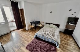 Garsonieră Mobilată și Utilată cu vedere panoramică în Cartierul Brazdă