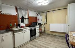 Casa renovata Bariera Valcii, 445 mp teren patrat