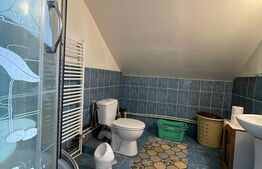 Casa P+1 Brestei 5 camere