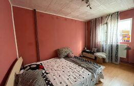 Casa P+1 Brestei 5 camere