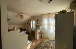 Casa P+1 Brestei 5 camere