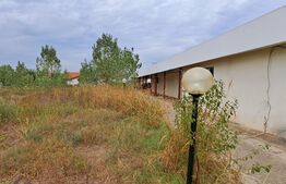 Oportunitate! Spațiu Industrial, 1600 mp utili și 20000 mp teren, cu utilități, deschidere generoasa și bilaterala, zona Cernele!