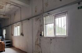 Oportunitate! Spațiu Industrial, 1600 mp utili și 20000 mp teren, cu utilități, deschidere generoasa și bilaterala, zona Cernele!