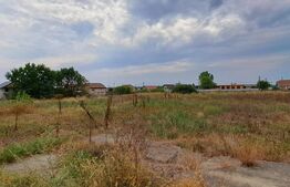 Oportunitate! Spațiu Industrial, 1600 mp utili și 20000 mp teren, cu utilități, deschidere generoasa și bilaterala, zona Cernele!