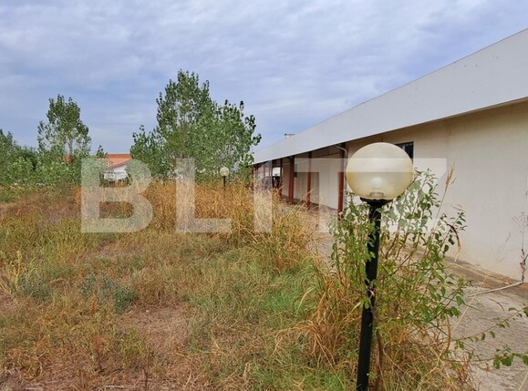 Spațiu industrial de vânzare Cernele - 130548SVI | BLITZ Craiova | Poza3