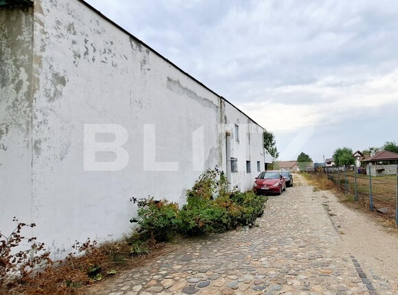 Spațiu industrial de vânzare Cernele - 130548SVI | BLITZ Craiova | Poza1