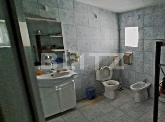 Spațiu industrial de vânzare Cernele - 130548SVI | BLITZ Craiova | Poza8