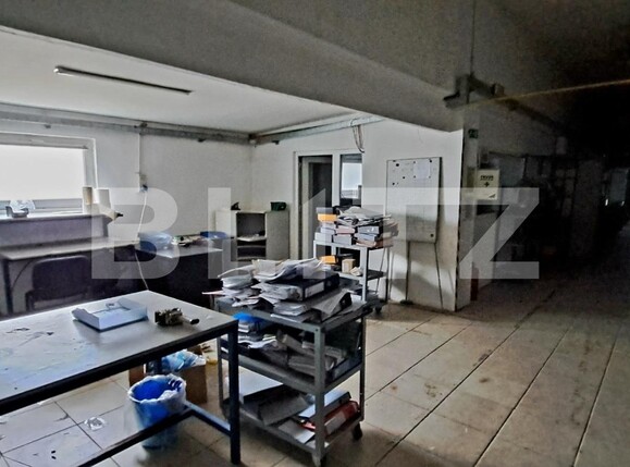 Spațiu industrial de vânzare Cernele - 130548SVI | BLITZ Craiova | Poza10
