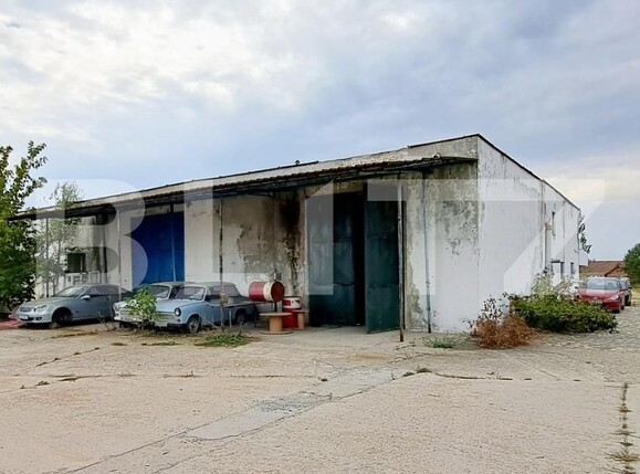 Spațiu industrial de vânzare Cernele - 130548SVI | BLITZ Craiova | Poza19