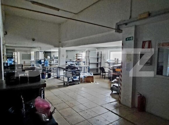 Spațiu industrial de vânzare Cernele - 130548SVI | BLITZ Craiova | Poza9
