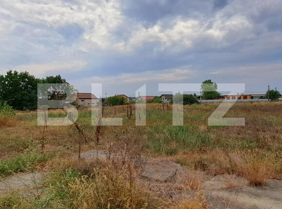 Spațiu industrial de vânzare Cernele - 130548SVI | BLITZ Craiova | Poza2