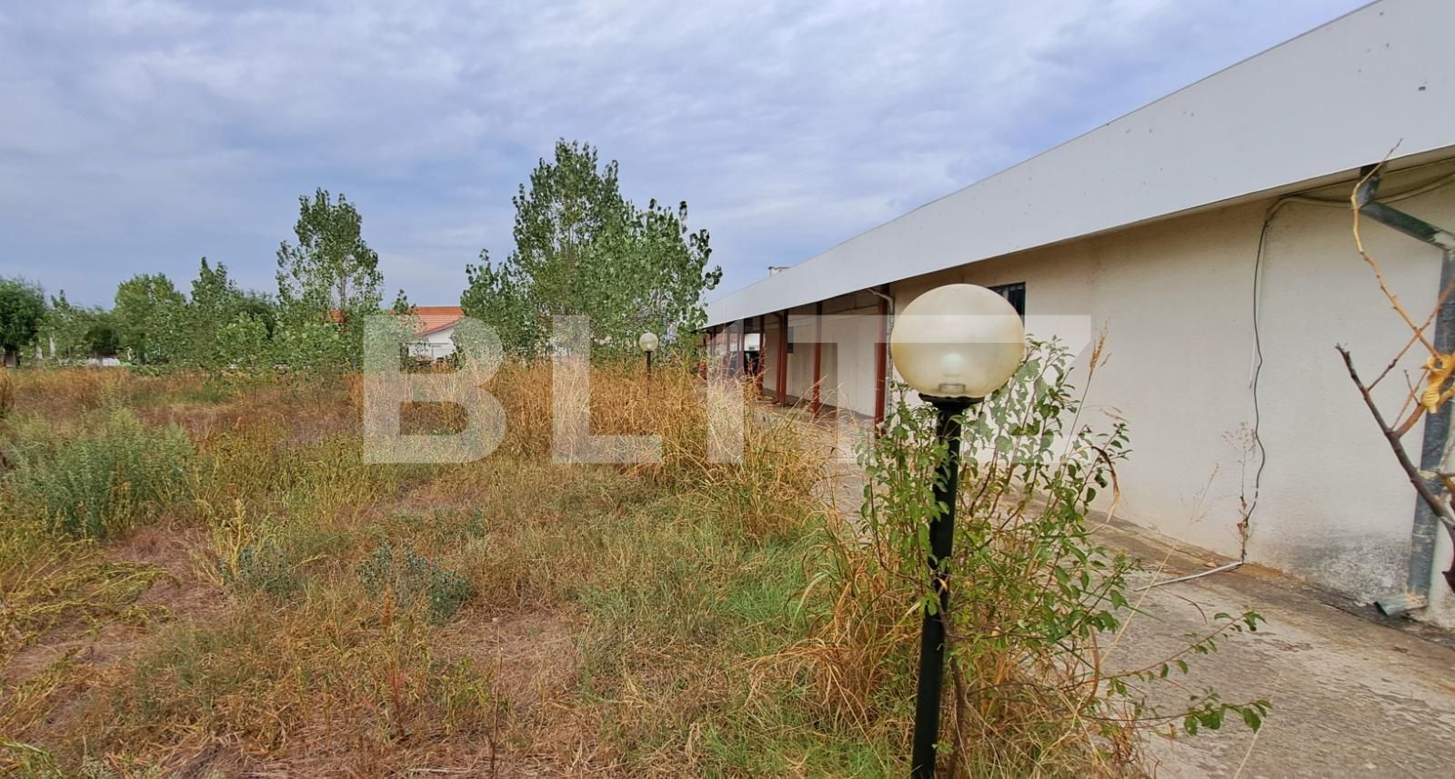 Spațiu industrial de vânzare Cernele - 130548SVI | BLITZ Craiova | Poza3