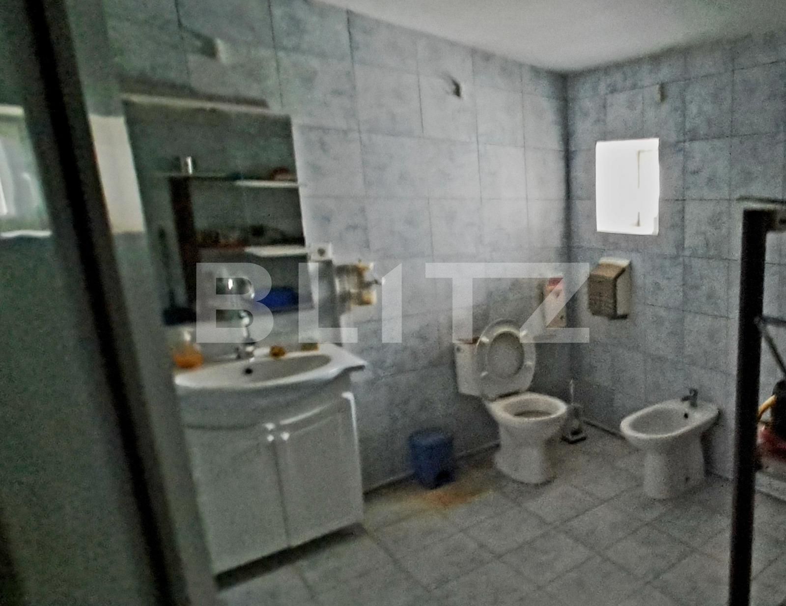 Spațiu industrial de vânzare Cernele - 130548SVI | BLITZ Craiova | Poza8