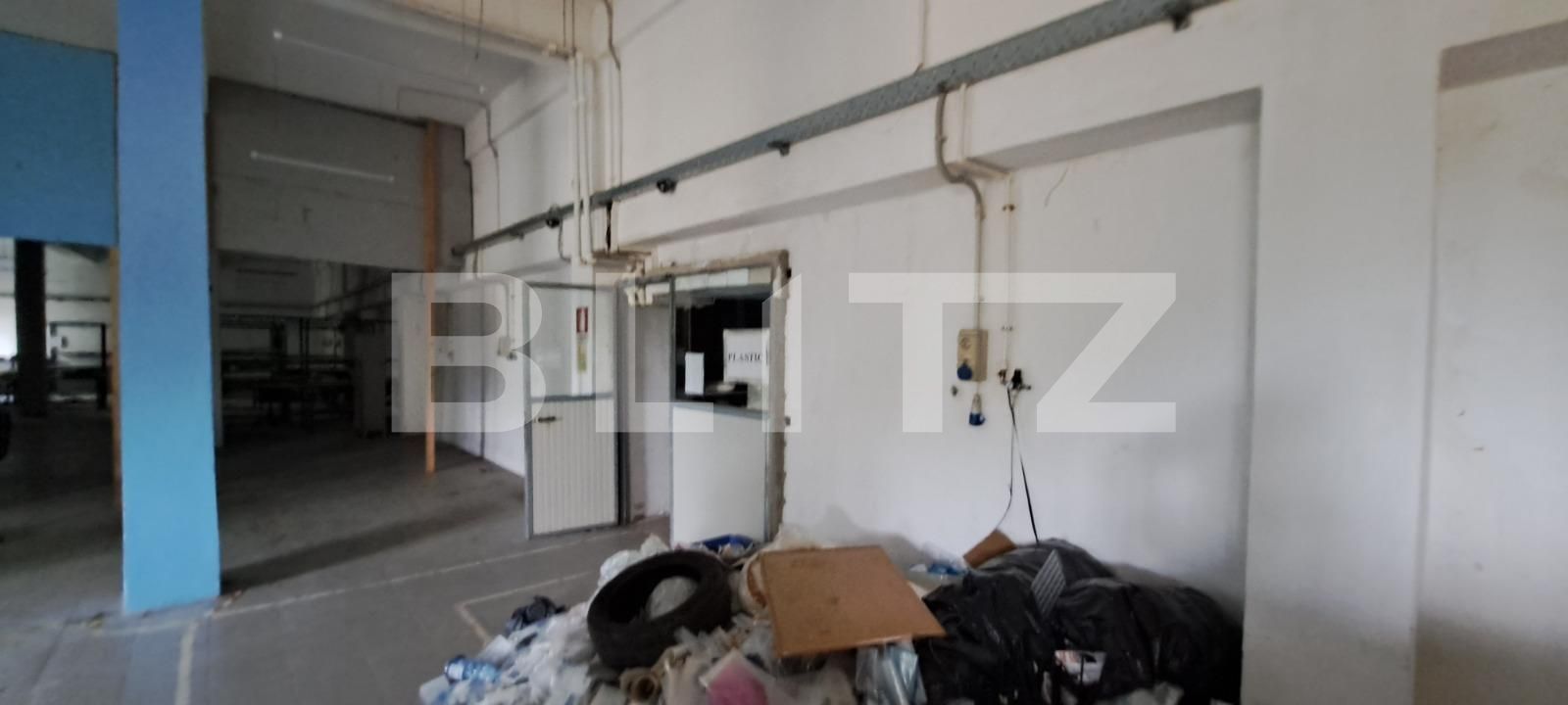 Spațiu industrial de vânzare Cernele - 130548SVI | BLITZ Craiova | Poza13