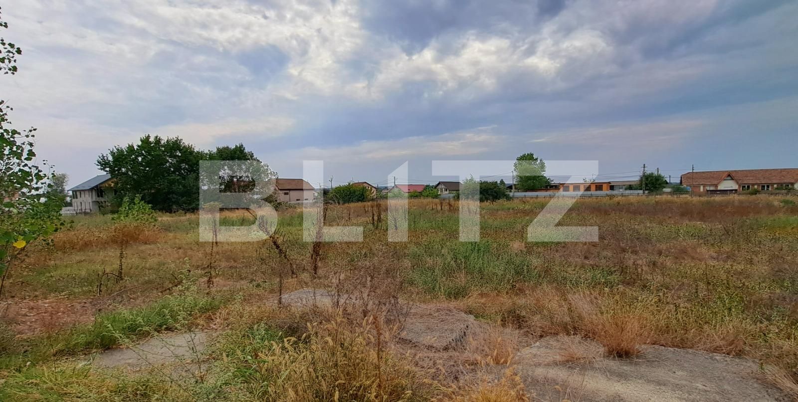 Spațiu industrial de vânzare Cernele - 130548SVI | BLITZ Craiova | Poza2