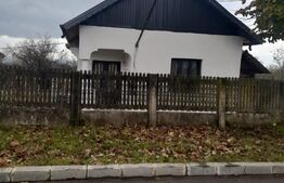 Casa reconditionata, 500mp teren, Segarcea