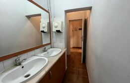 Spațiu comercial cu randament excelent, 96 mp, Brazda lui Novac