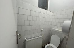 Spațiu comercial cu randament excelent, 96 mp, Brazda lui Novac