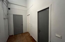 Spațiu comercial cu randament excelent, 96 mp, Brazda lui Novac