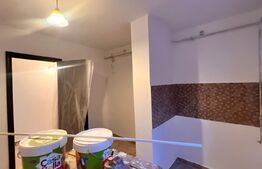 Apartament 2 camere, zona Baba lui Novac, Brazda 