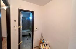 Apartament 2 camere, zona Baba lui Novac, Brazda 