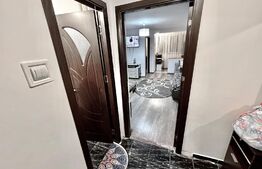 Garsonieră Modernă Renovată, gata de mutat, Zona CAS - Cartierul Brazdă
