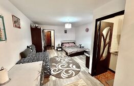 Garsonieră Modernă Renovată, gata de mutat, Zona CAS - Cartierul Brazdă