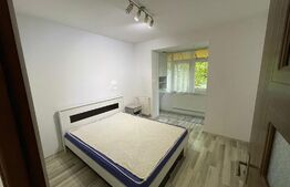 Apartament 3 camere, Petfrendly, aer conditionat, zona Petre Ispirescu