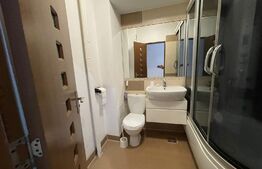 Apartament 3 camere, Petfrendly, aer conditionat, zona Petre Ispirescu