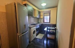 Apartament semidecomandat, 2 camere, Rovine