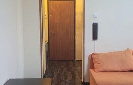 Apartament semidecomandat, 2 camere, Rovine