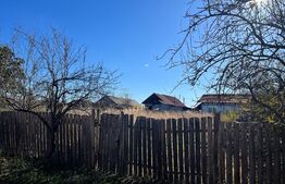 Teren 616 mp, in Sarbatoarea, comuna Bucovat