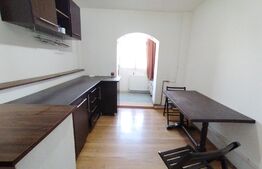 Apartament de 2 camere, pet friendly, aer conditionat, cartier Brazda lui Novac